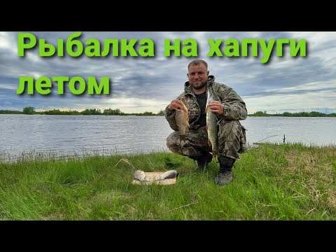 Видео: Рыбалка на хапуги летом Сплетня алтайская пробуем!Хмао-югра