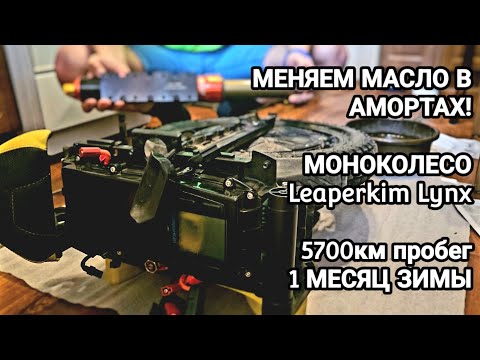Видео: Leaperkim LYNX - МЕНЯЕМ МАСЛО. АМОРТЫ FASTACE. Месяц зимы, пробег 5700км.