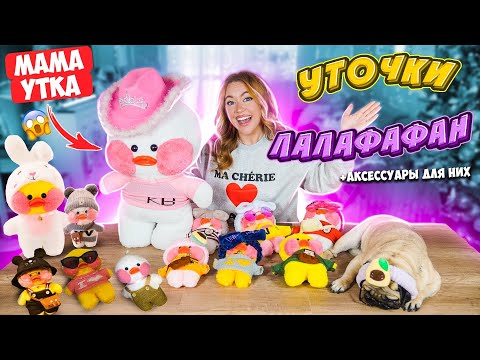 Видео: УТОЧКИ ЛАЛАФАНФАН Скупила ВСЕ! Гигантская МАМА УТКА 😳 Моя Коллекция ТРЕНДОВЫХ УТОЧЕК Тика Ток!