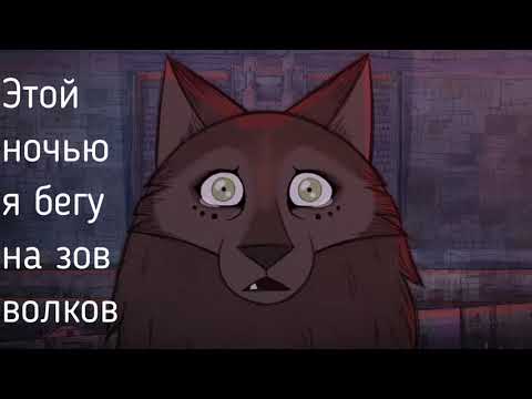 Видео: Легенда о волках _ Running with the Wolves AURORA