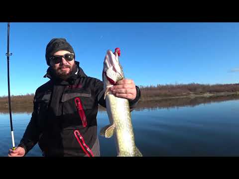 Видео: ЩУКА В НОЯБРЕ. ДЖИГ С ЛОДКИ