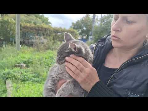 Видео: 2 часть встречи с волонтером из ст.Ессентукская