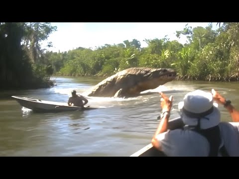 Видео: Рыбаки Засняли Самого Смертоносного Монстра Амазонки