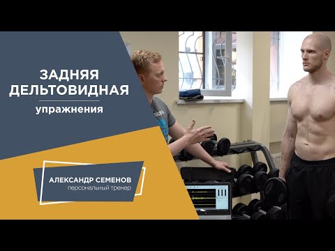 Видео: Задняя дельтовидная мышца. Упражнения