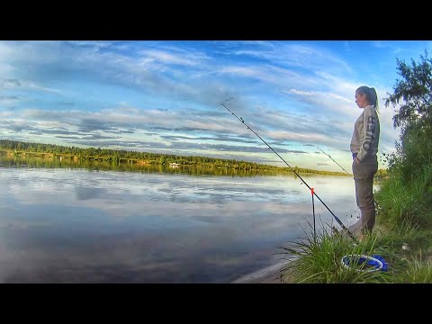 Видео: ЛОВЛЮ РЫБУ НА САЛО. РЫБАЛКА НА ДОНКИ. Вечер на реке. Russian fishing