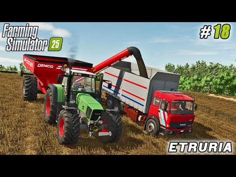 Видео: Новый нефтяной бизнес: сбор рапса и соломы в компост | Farming Simulator 25 | Ферма Этрурия | Эпи...
