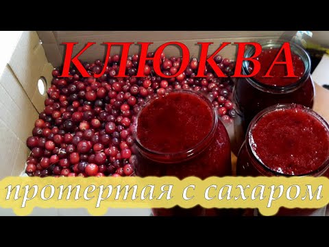 Видео: Клюква протертая с сахаром.