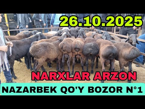 Видео: НАЗАРБЕК МОЛ БОЗОРИ К,УЙ НАРХЛАР 26-ОКТЙАБР 2025.