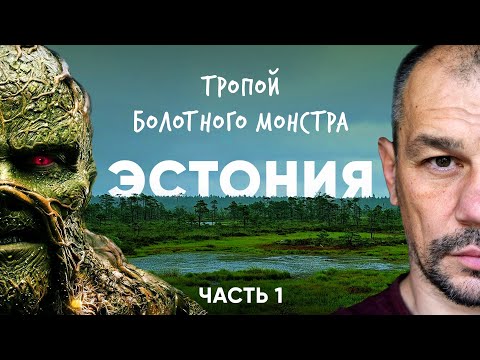 Видео: Сквозь эстонскую тайгу на велосипеде. Эстония.