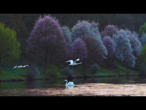 Видео: Александр Пушкин — В те дни в таинственных долинах1823-1830 Отрывок из поэмы Пушкина Евгений Онегин.