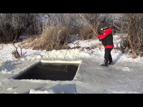 Видео: Холодные лунки опять не отпускали меня. На поиски хищника.