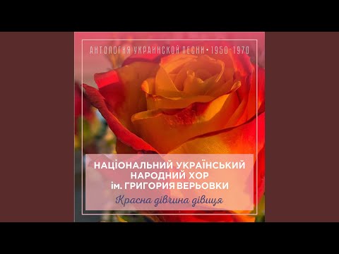 Видео: Туман яром, туман долиною