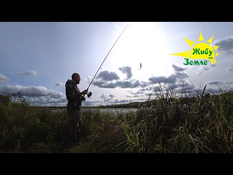 Видео: Осенняя щука. Поймал и съел. Всё просто!