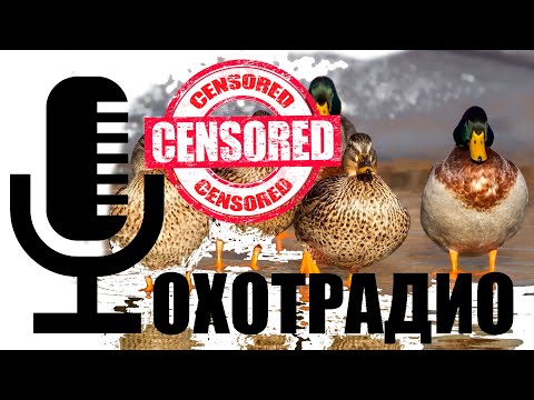 Видео: ДОРОГОЕ ИЛИ ДЕШЕВОЕ СНАРЯЖЕНИЕ ДЛЯ ОХОТЫ? / ОХОТРАДИО