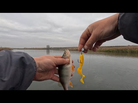 Видео: РЫБАЛКА НА ОКУНЯ!!! ОКУНЬ ОБОЖАЕТ ТВИСТЕР!!
