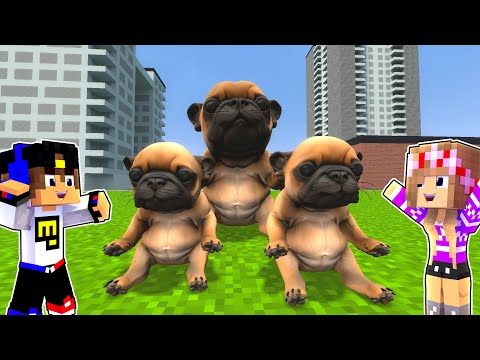 Видео: МЫ НАШЛИ PIBBLE WASH MY BELLY в МАЙНКРАФТ ДЕВУШКА НУБ ПРО ВИДЕО ТРОЛЛИНГ MINECRAFT