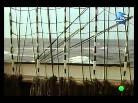 Видео: Большой детский хор Ты слышишь, море!