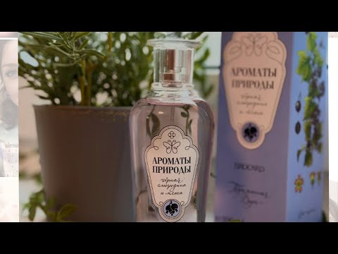 Видео: Бюджетная парфюмерия BROCARD - ЧЁРНАЯ СМОРОДИНА И МЯТА. Распаковка и первые впечатления
