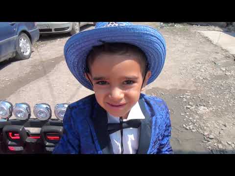 Видео: сунет на принц гринго 19,07,2020,г,