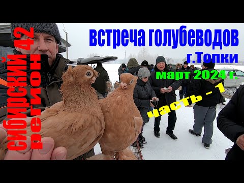 Видео: Встреча голубеводов.март 2024г.Топки(часть-1)