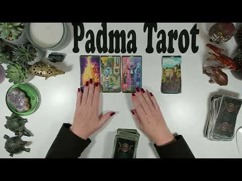 Видео: ВОДОЛЕЙ♒️НЕ УПУСТИТЕ ЭТУ НОВУЮ ВОЗМОЖНОСТЬ, ПОТОМУ ЧТО ВЫ ЗЛИТЕСЬ НА СТАРОЕ! 10-16 НОЯБРЯ Таро 💫🔮