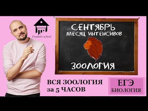Видео: Вся ЗООЛОГИЯ за 5 ЧАСОВ! (ЧАСТЬ 1 - БЕСПОЗВОНОЧНЫЕ) |ЕГЭ БИОЛОГИЯ|Freedom|