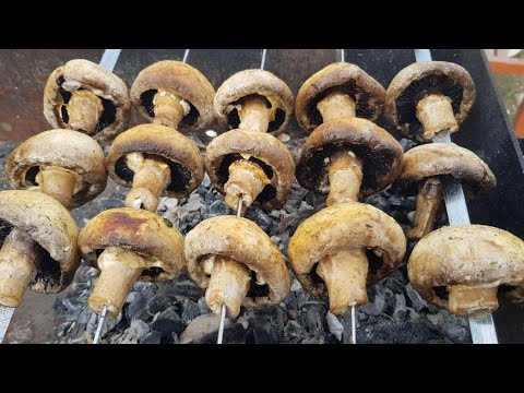 Видео: Александровка. Установка двери. Шашлычок из шампиньонов. Олег уехал в Рошаль.