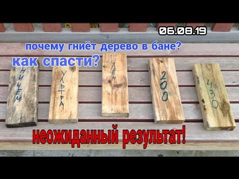 Видео: Почему гниет древесина в бане, чем ее обработать? Эксперимент, результат шокирует!
