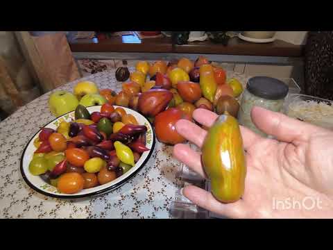 Видео: Распродажа семян томатов прошлых сезонов ❗🔥🍅 Пробуем капусту ☺️