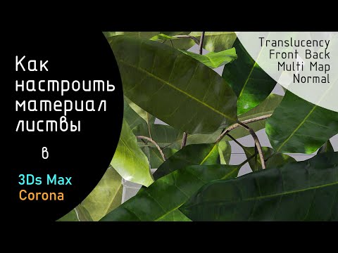 Видео: Настройка материала растения с использованием Translucency, Corona Multi Map, Corona Front Back.