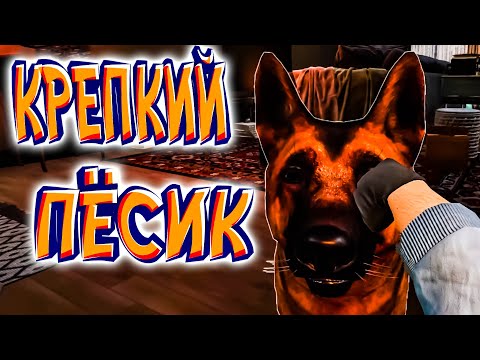 Видео: КРЕПКИЙ ПЕСИК - Crime Cleaner (приколы, угар, фейлы)