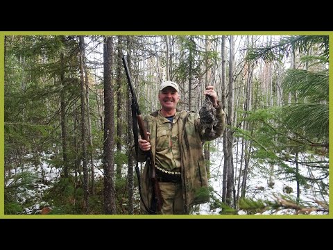 Видео: Добыл первого рябчика. Прогулка по лесу.