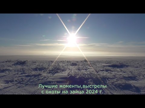 Видео: Лучшие моменты. Охота на зайца 2024г. " Только выстрелы"
