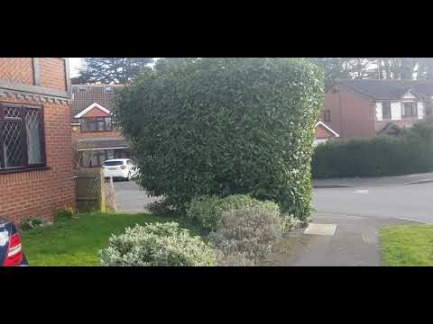 Видео: Английские дома! Дорогой район!!