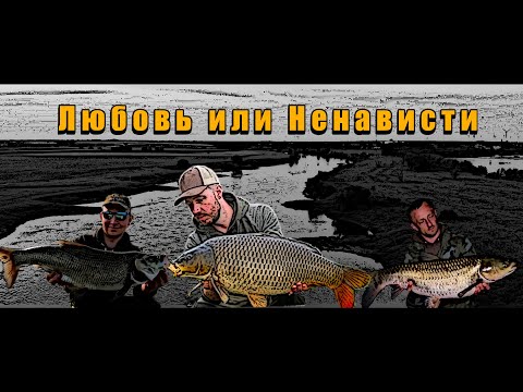 Видео: Карпфишинг Ловля Карпа на РекE #2 | RIVER JOB | CARPFISHING