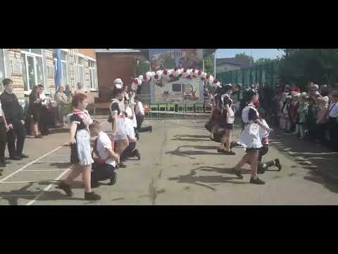 Видео: 24 мая 2022 г.