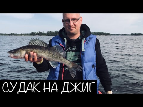 Видео: Рыбалка Одной Приманки. Судак с Лодки на Джиг