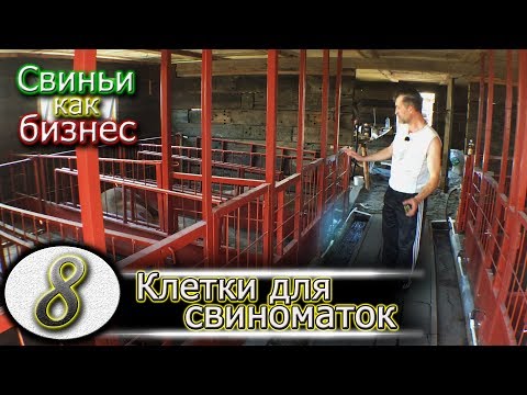 Видео: СОДЕРЖАНИЕ СВИНОМАТОК В РАЗБОРНЫХ КЛЕТКАХ