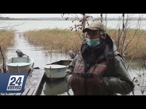 Видео: «Мёртвое» озеро оживает в СКО