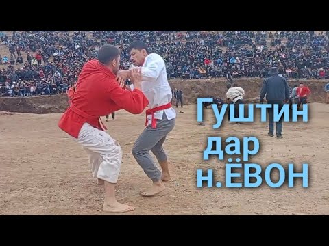 Видео: Гуштин дар нохияи Ёвон 2024