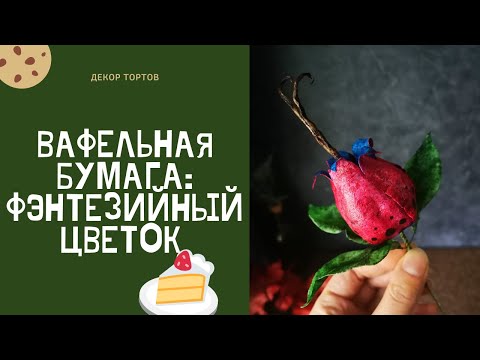 Видео: Вафельная бумага. Фэнтезийный цветок.