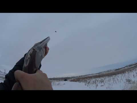 Видео: Серый Кармагедон c CAESAR GUERINI