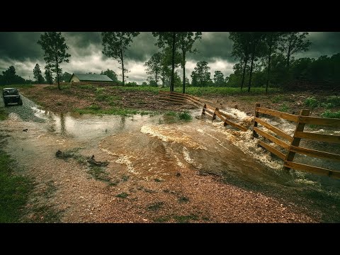 Видео: На ферму обрушился ливень!