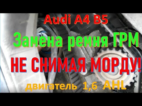Видео: Замена ремня ГРМ не снимая передка!!! Ауди А4 B5 двиг 1.6