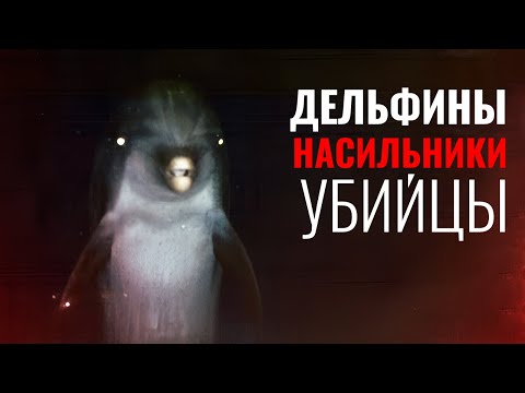 Видео: Неудобная правда о Дельфинах