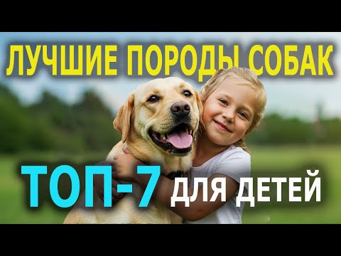 Видео: Собаки, Которым Можно Доверить Ребенка I Собаковедение