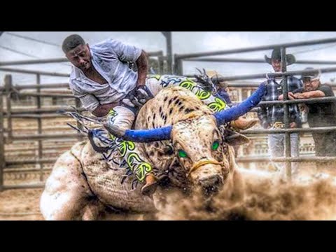 Видео: Это Самый Огромный и Безумный Бык за Всю Историю! Топ 10