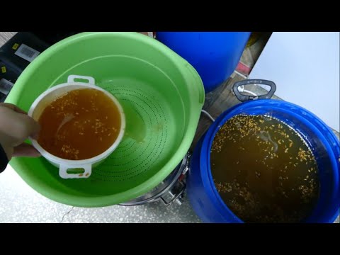 Видео: Ржаной самогон на кодзи