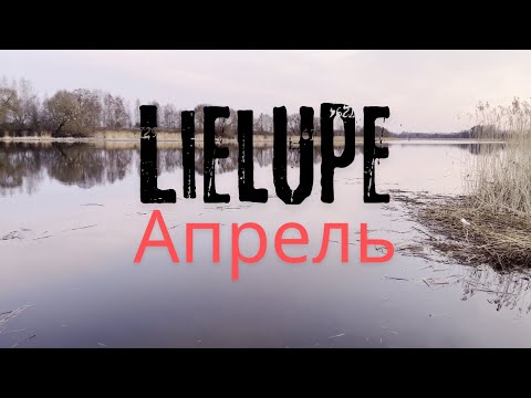 Видео: Весенний фидер.То тепло,то холодно!