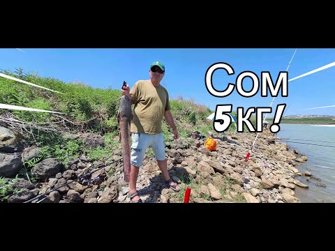 Видео: Рыбалка на озере Кфар Манда.  Fishing in Kfar Manda